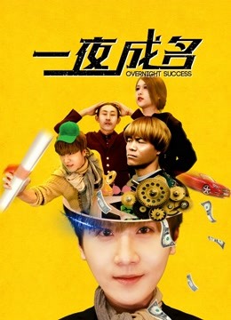 一夜成名封面图