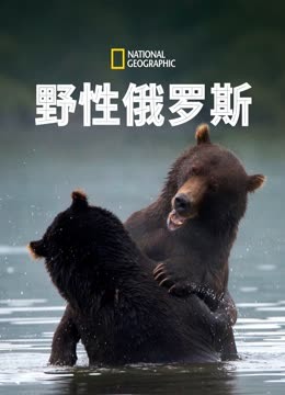 野性俄罗斯封面图