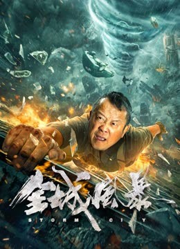 全城风暴封面图