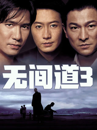 无间道3粤语封面图