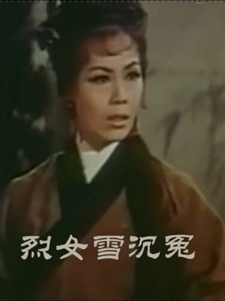 烈女雪沉冤粤语封面图