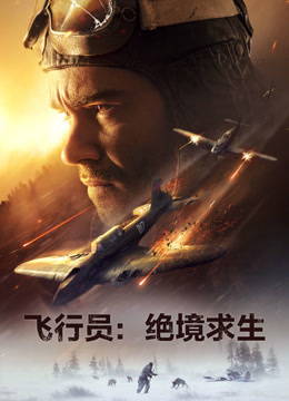 飞行员:绝境求生封面图