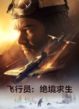 飞行员绝境求生封面图