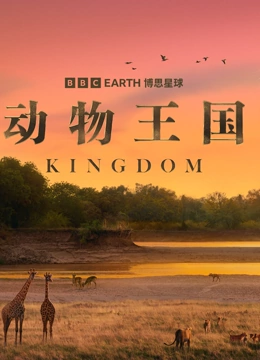 动物王国配音版封面图