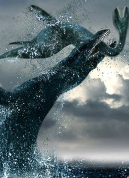 怪兽来了封面图