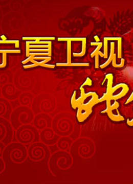 宁夏卫视春晚封面图