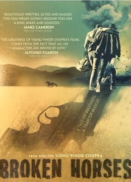 受伤的马封面图