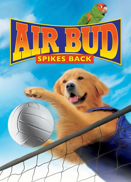 飞狗巴迪5：排球健将（英语）封面图