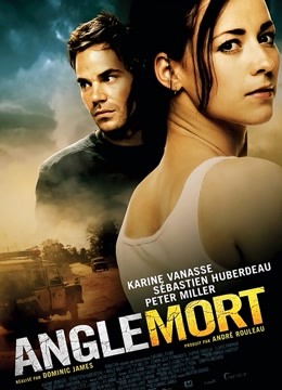 盲点（2011）封面图