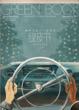 绿皮书（普通话）封面图