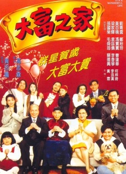 大富之家（1994）封面图