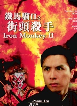 铁马骝2之街头杀手封面图