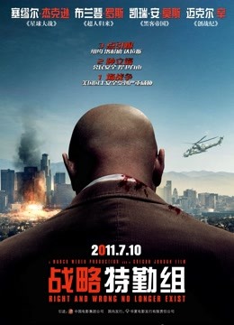 战略特勤组（2010）封面图