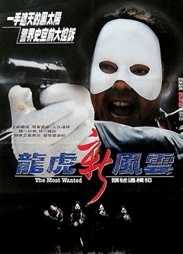 龙虎新风云（粤语）封面图