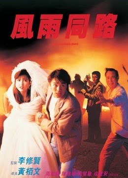 风雨同路封面图