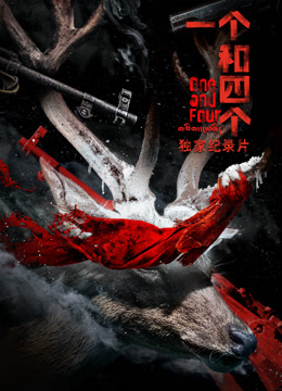 《一个和四个》独家纪录片封面图