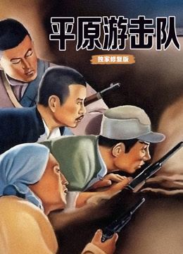 平原游击队独家修复封面图