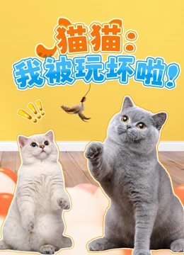 猫猫我被玩坏啦封面图