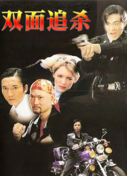 双面追杀封面图