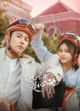 是风动是心动封面图