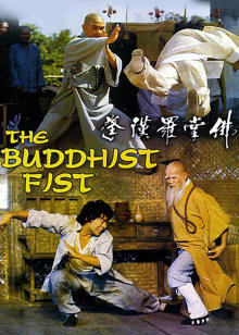 佛掌罗汉拳封面图