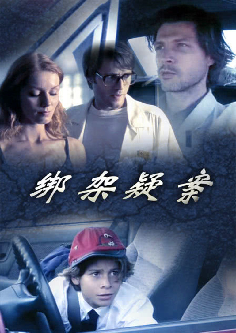 绑架疑案封面图