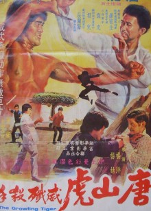 唐山虎威歼杀手封面图