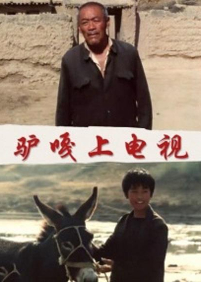 驴嘎上电视封面图
