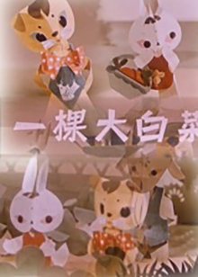 一棵大白菜封面图