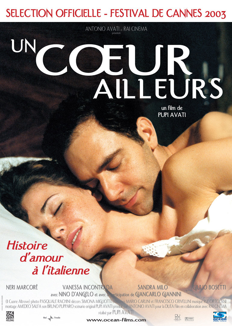 芳心别乡封面图