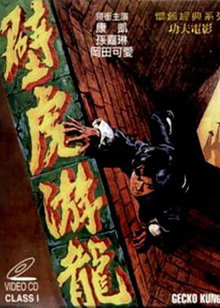 壁虎游龙封面图