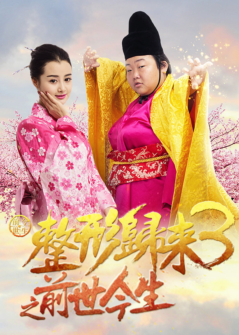 整形归来3前世今生封面图