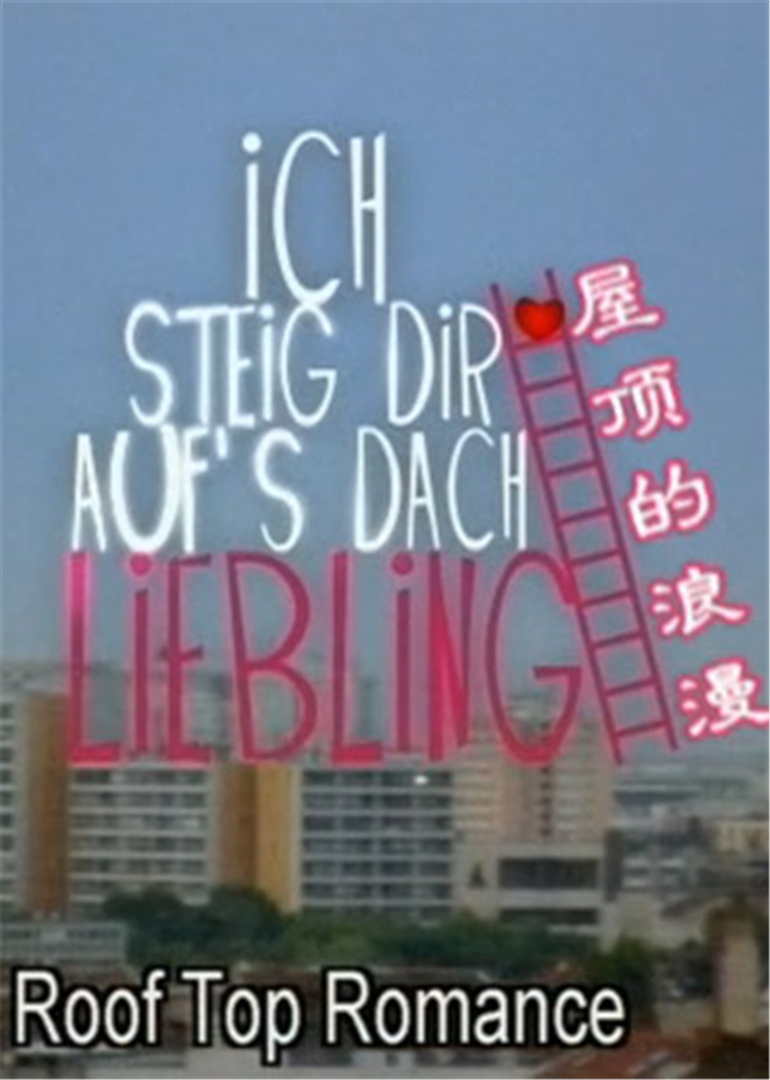 屋顶的浪漫封面图