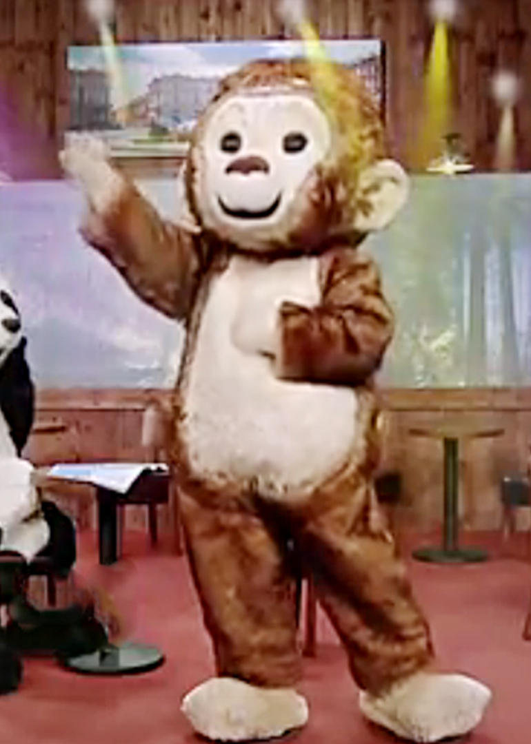 疯狂的丛林封面图