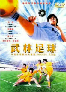 武林足球封面图