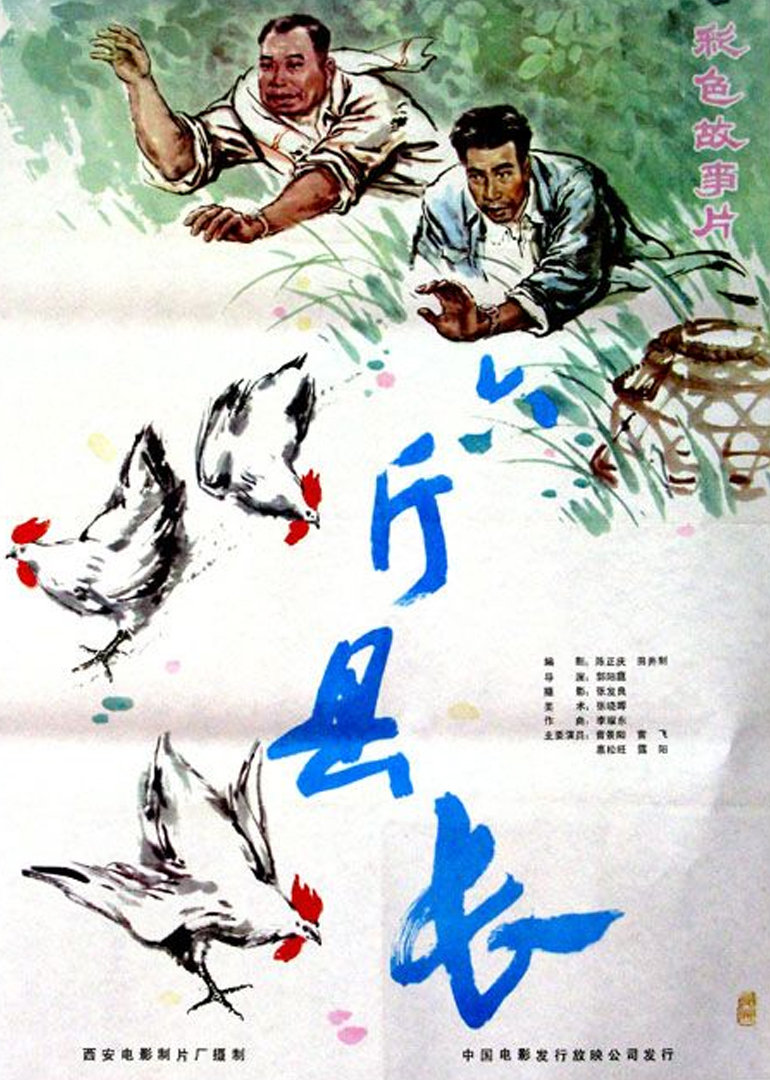 六斤县长封面图