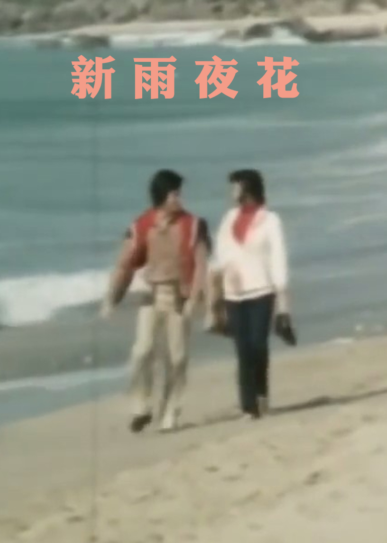 新雨夜花封面图