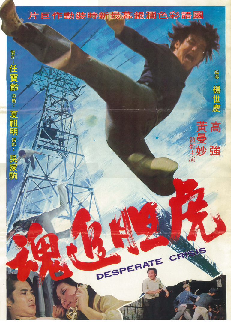 虎胆追魂封面图