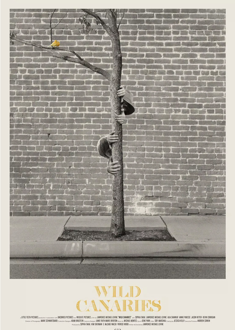 楼上楼下封面图