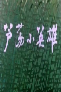 芦荡小英雄封面图