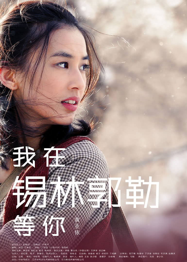 我在锡林郭勒等你封面图