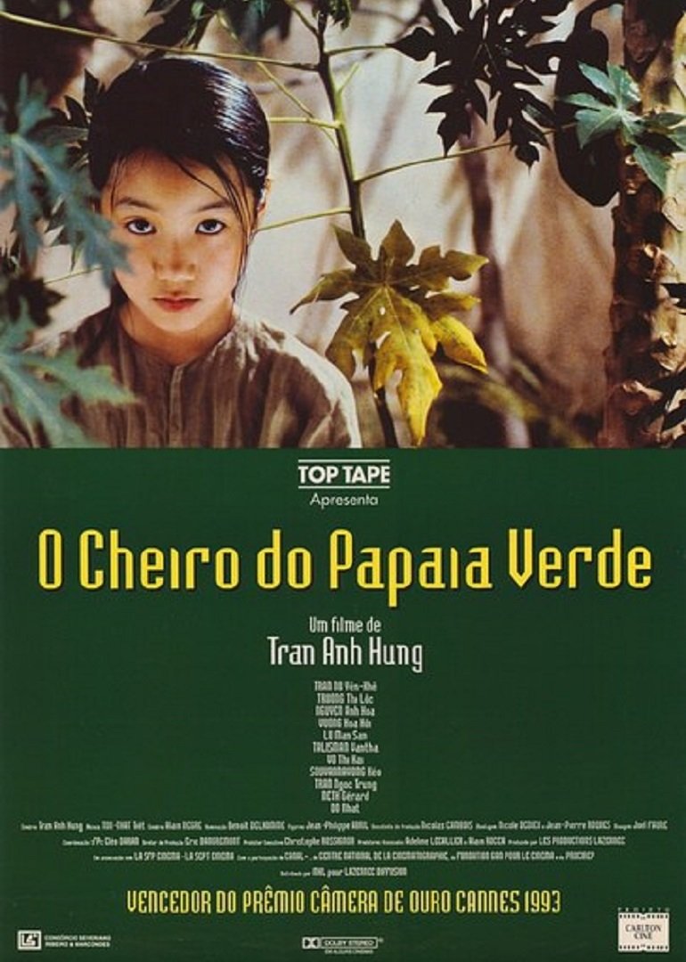 青木瓜之味封面图