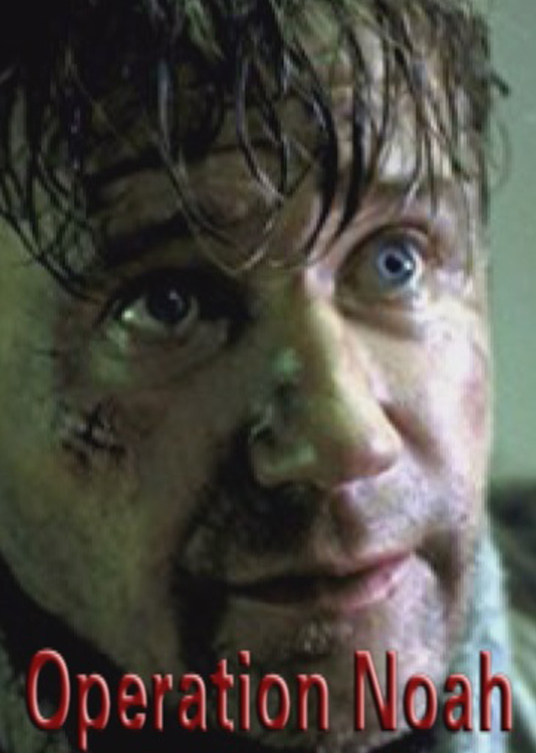 方舟行动封面图