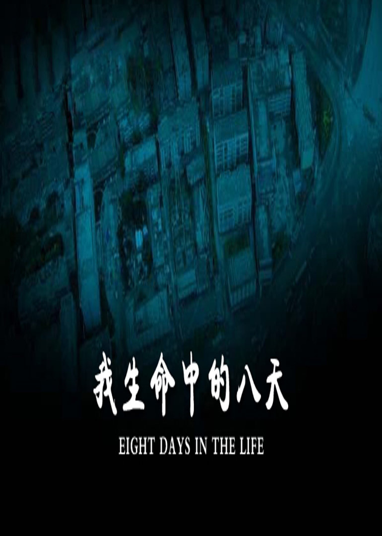 我生命中的八天封面图