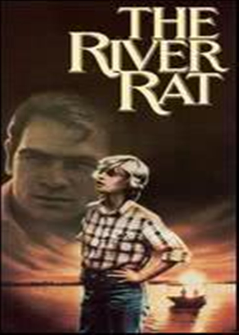 狂流惊梦封面图