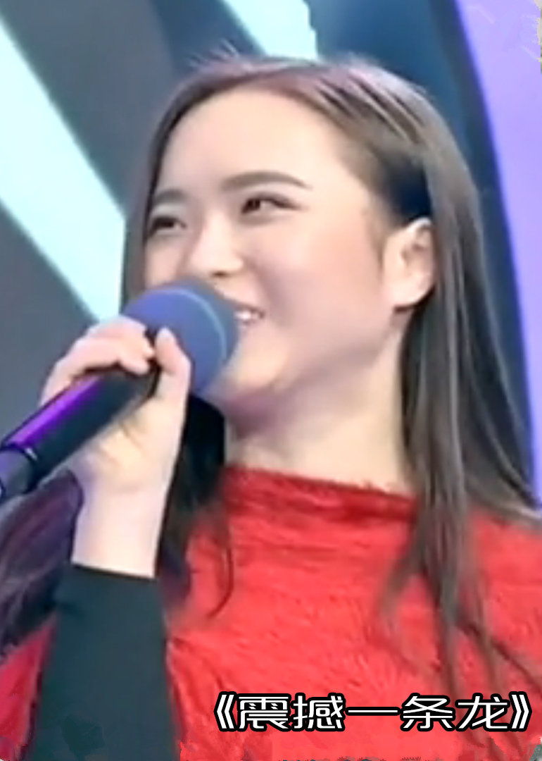 震撼一条龙封面图