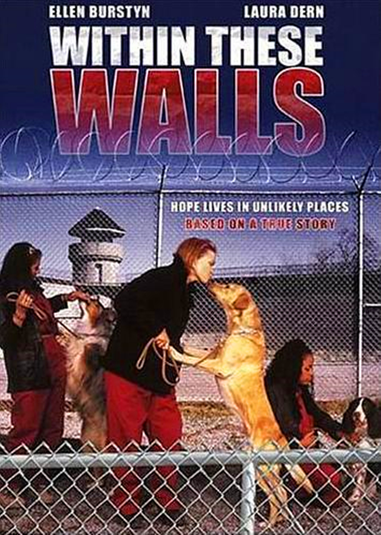 遥远的故乡封面图