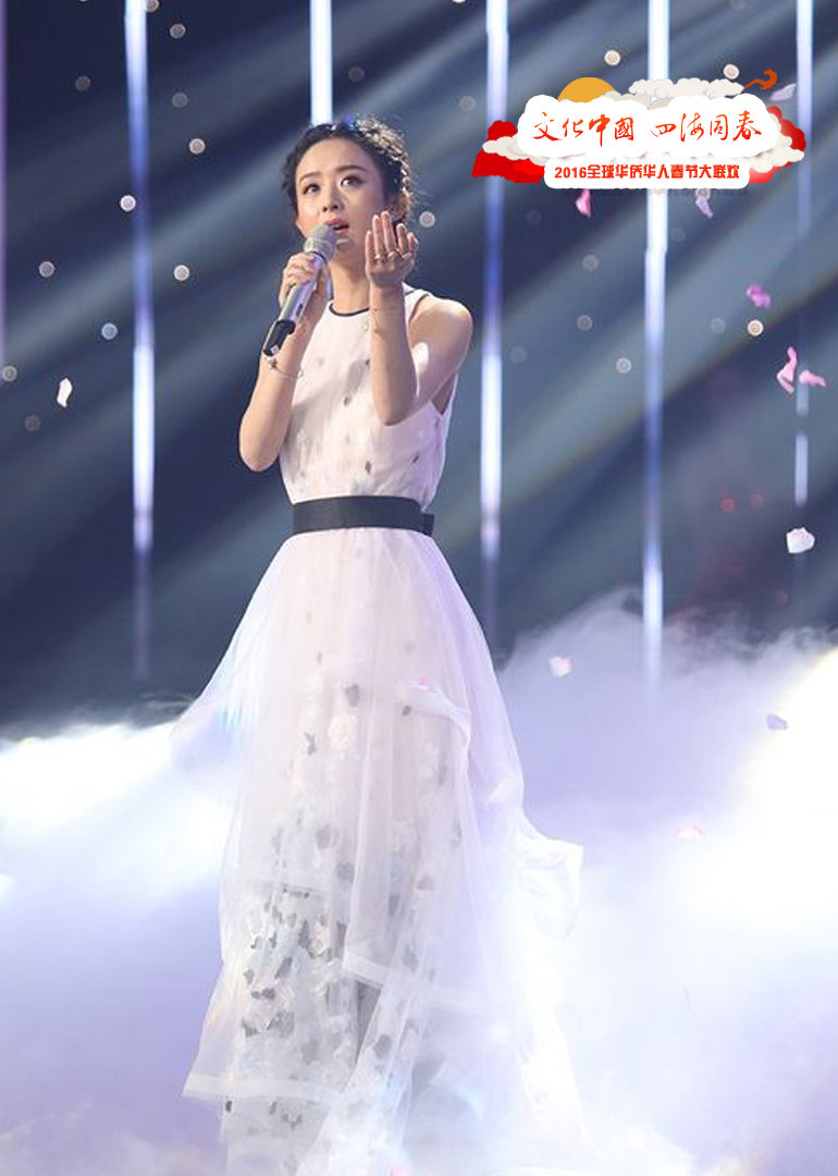 206华人华侨春晚封面图