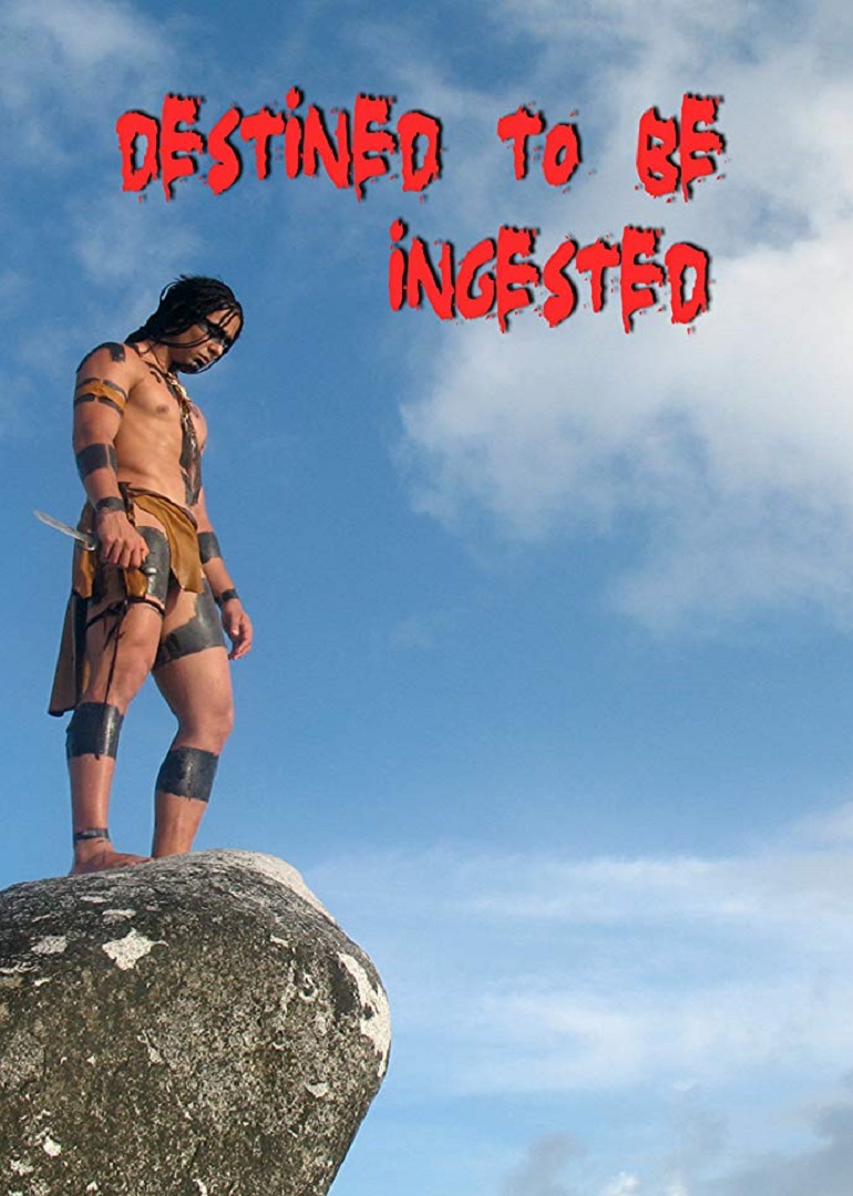 命中注定封面图