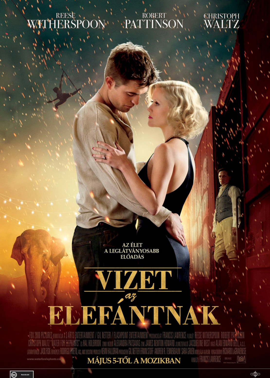 大象的眼泪封面图